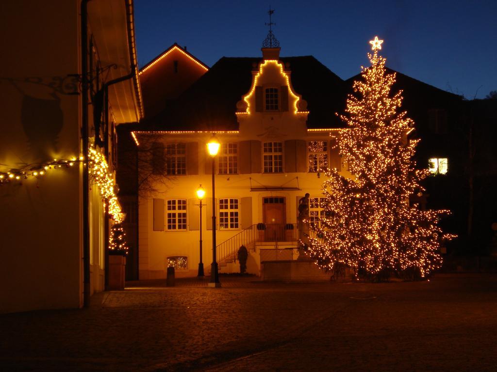 Hotel Gasthof Zum Ochsen Arlesheim Esterno foto